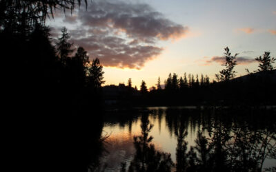 Let’s Begin the Praise