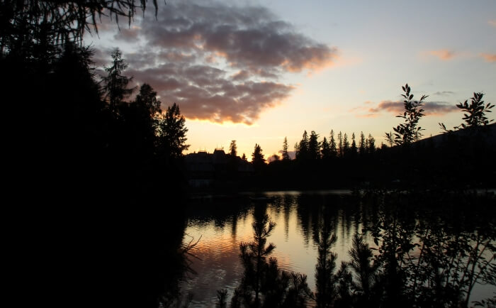 Let’s Begin the Praise