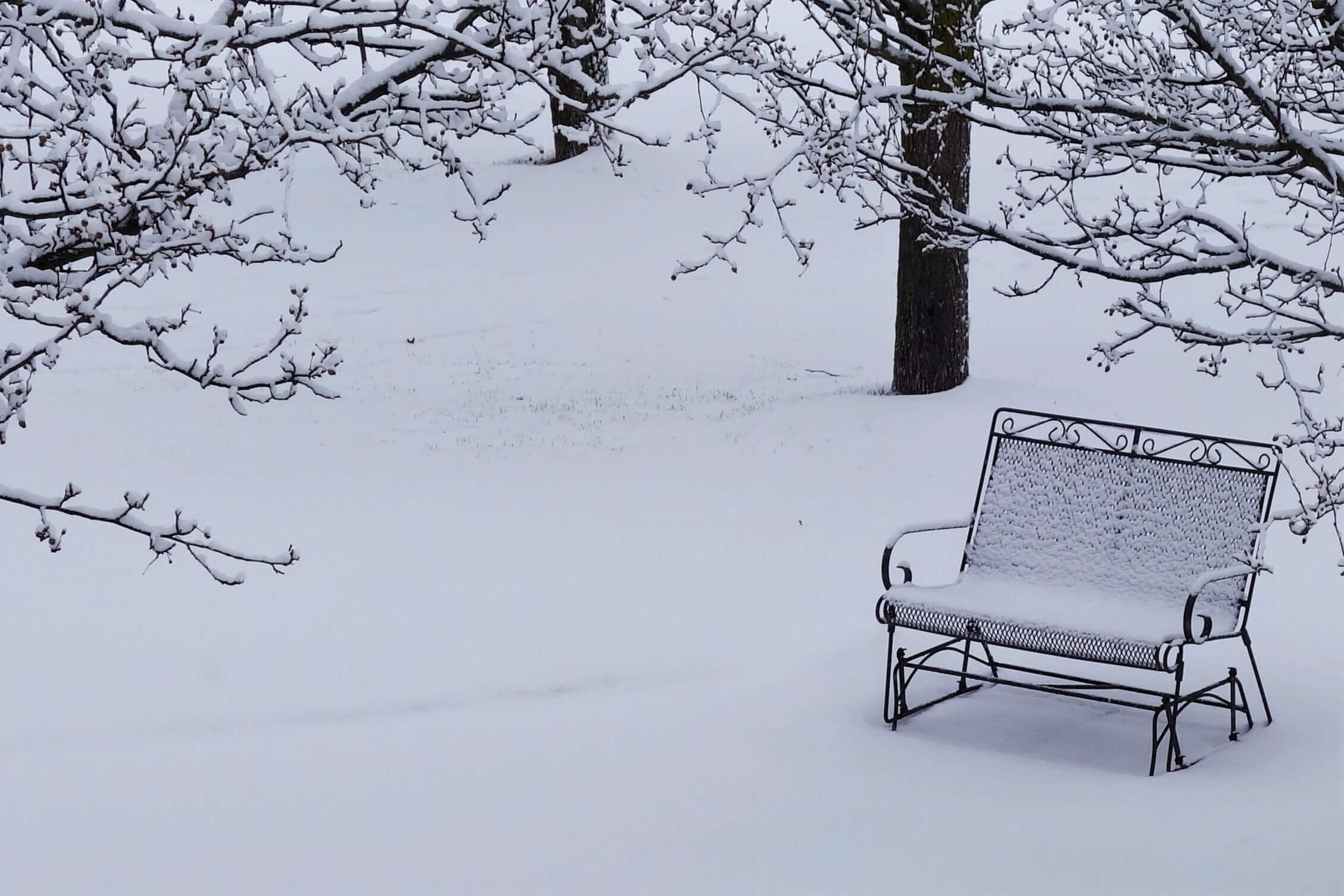 As White as Snow