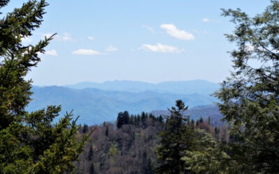 The One I Will Praise