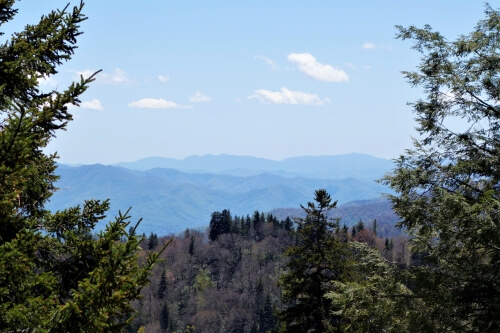 The One I Will Praise