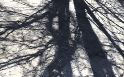 Don’t Live in the Shadow of Yesterday’s Sin