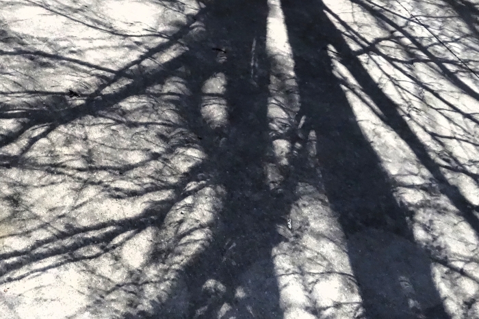 Don’t Live in the Shadow of Yesterday’s Sin