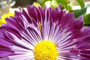 God's Answers - How God Answers Prayer