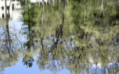 By Ways I Have Not Known