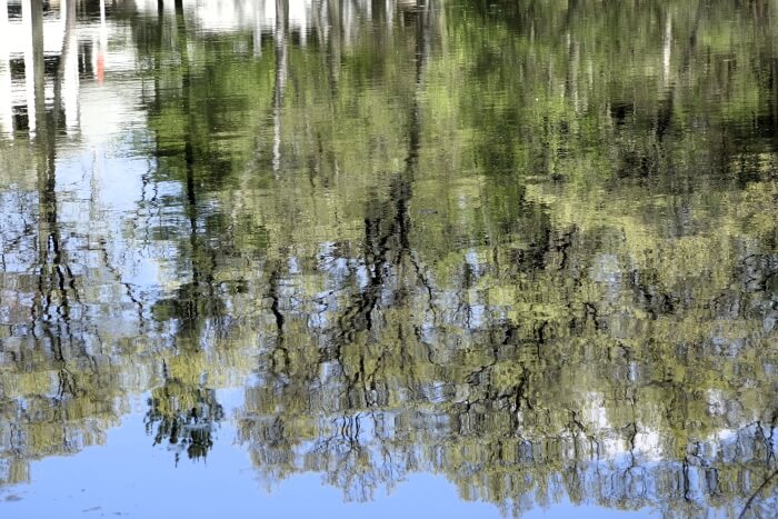 By Ways I Have Not Known