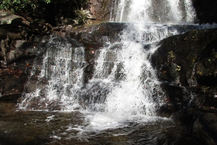 Praise From the Heart