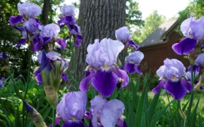 With Me Day and Night