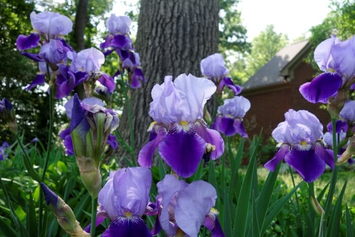 With Me Day and Night