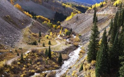 What Will You Choose?