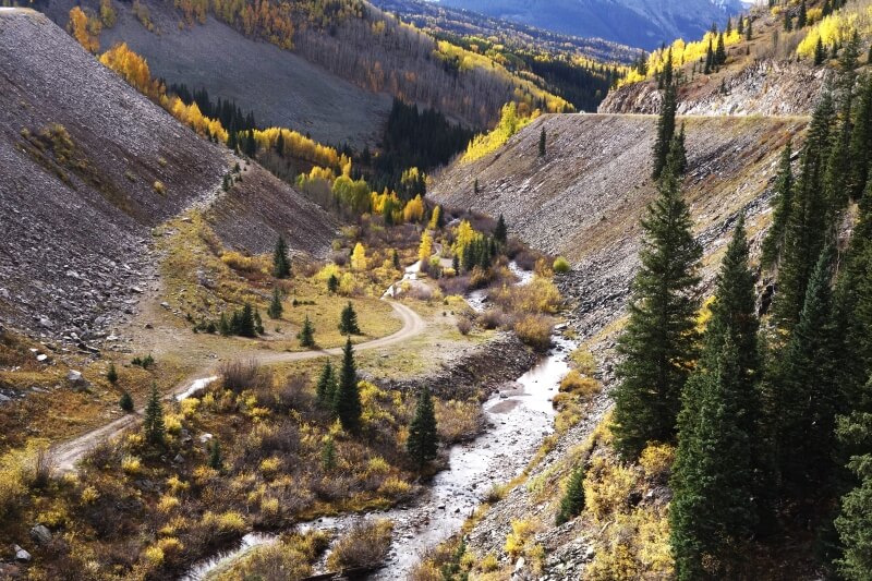 What Will You Choose?