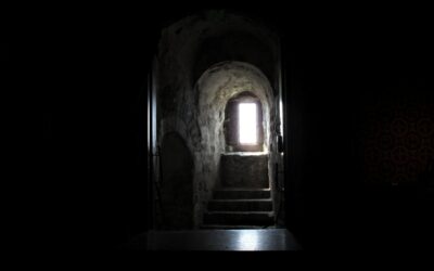 They Couldn’t Sleep, But They Could Sing