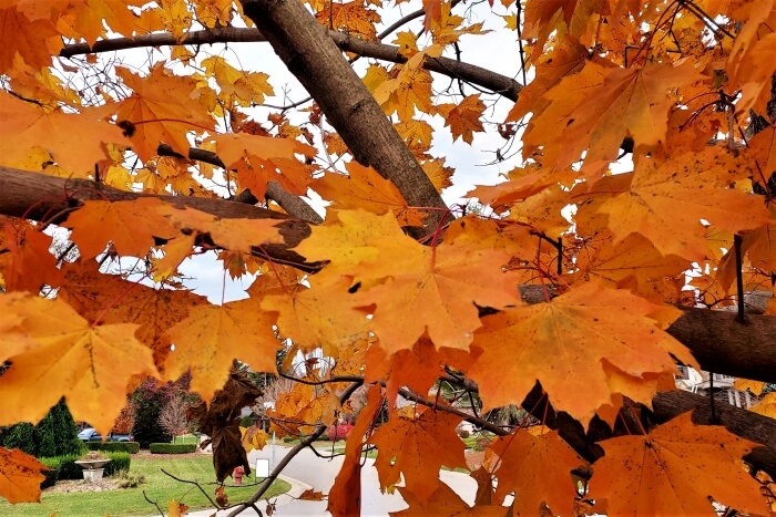 All That You’ve Done