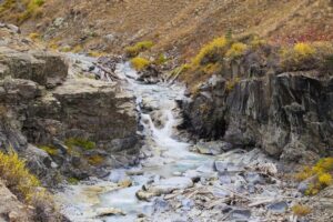 Each Day I Have New Reasons Thanksgiving Poem of Praise