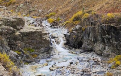 Each Day I Have New Reasons