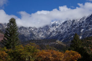 Too Good to Be True?