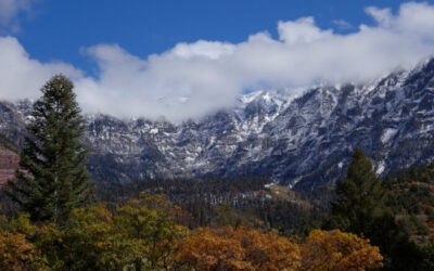 Too Good to Be True?