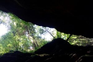 The Purpose in Suffering