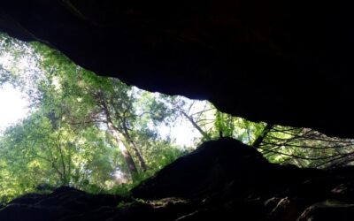 The Purpose in Suffering