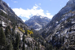 You Gave Me Strength