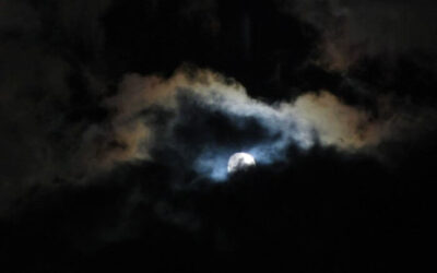 I’ll Brave the Night