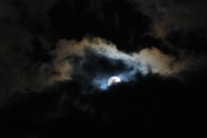 I’ll Brave the Night